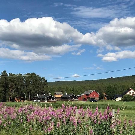 Roste Hyttetun Og Camping Os (Hedmark) 外观 照片