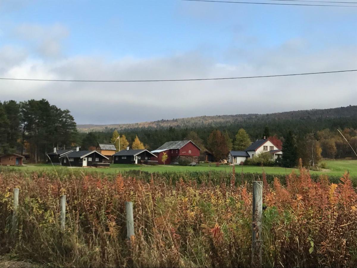 Roste Hyttetun Og Camping Os (Hedmark) 外观 照片