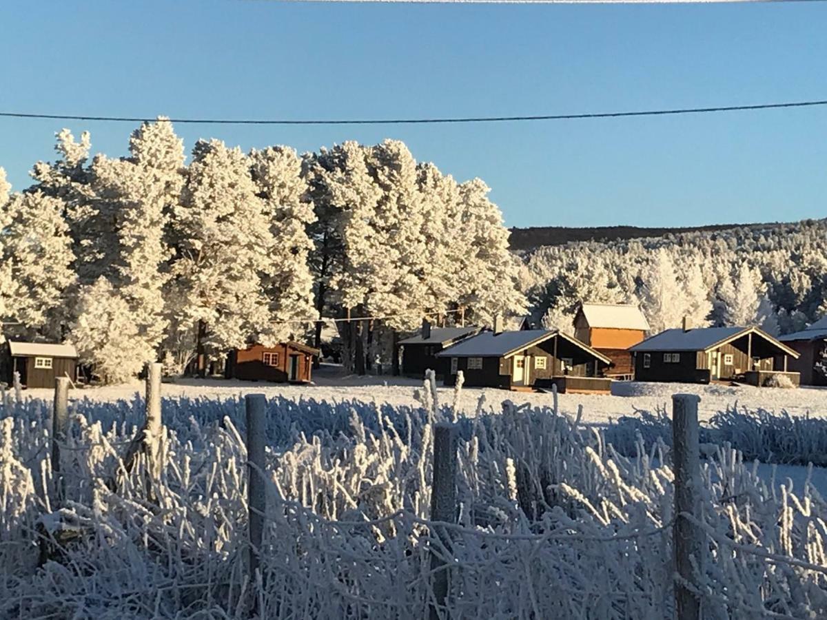 Roste Hyttetun Og Camping Os (Hedmark) 外观 照片