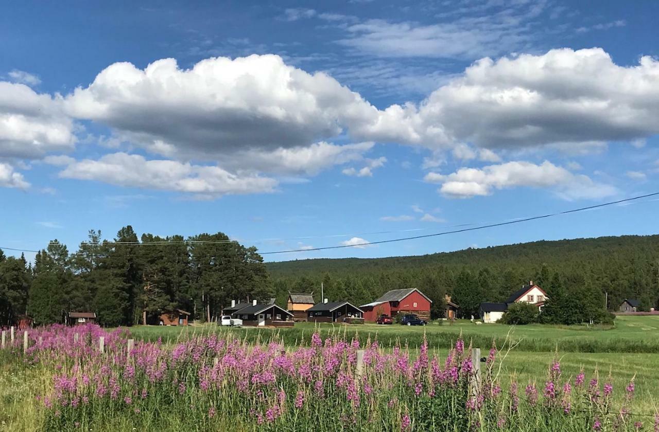 Roste Hyttetun Og Camping Os (Hedmark) 外观 照片